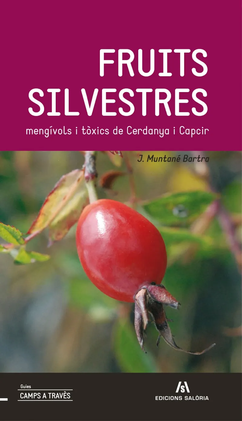 FRUITS SILVESTRES