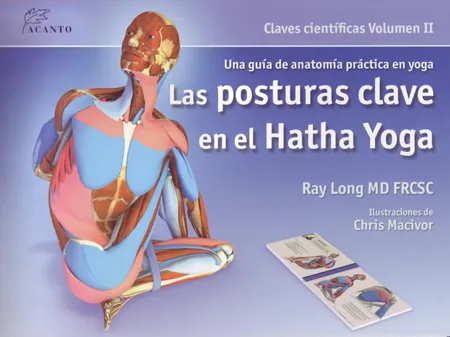 LAS POSTURAS CLAVE EN EL HATHA YOGA