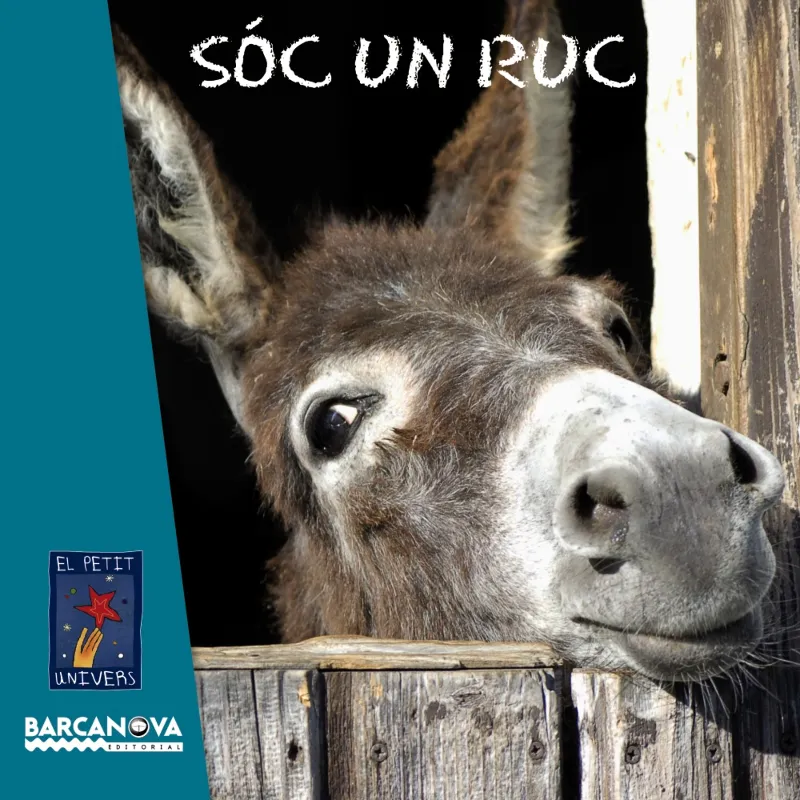 SOC UN RUC -LLETRA PAL-