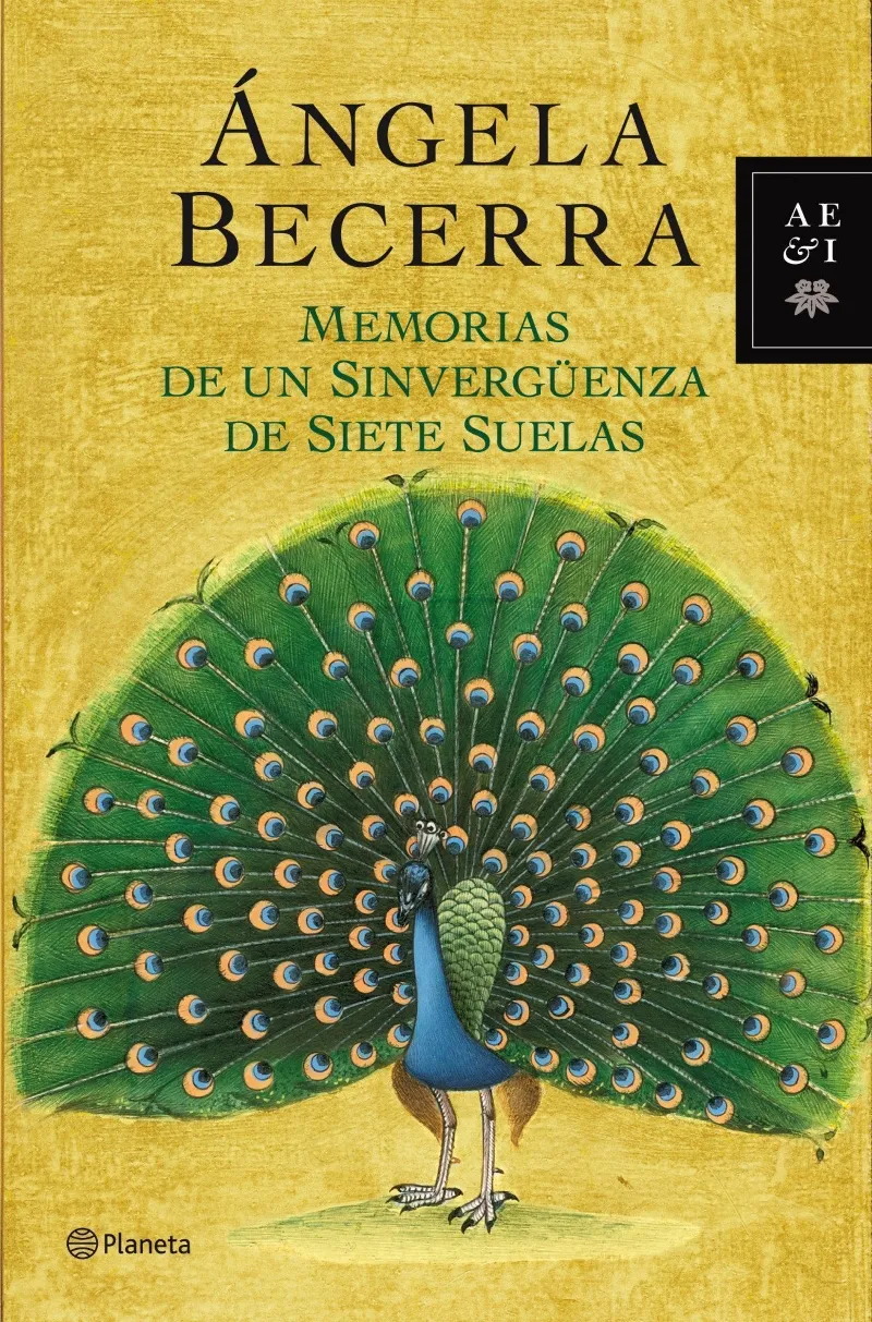 MEMORIAS DE UN SINVERGéENZA DE SIETE SUELAS