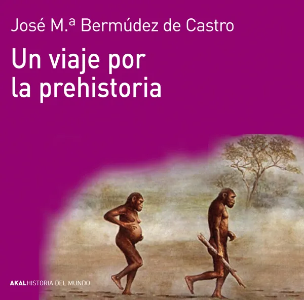 VIAJE POR LA PREHISTORIA,UN