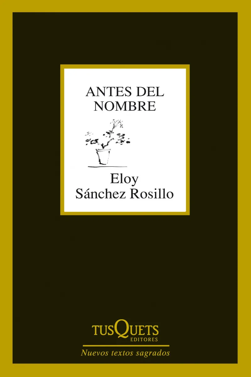 Antes del nombre