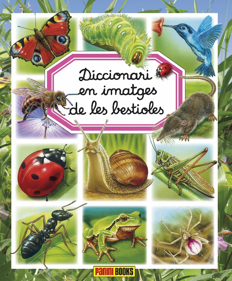 DICCIONARI EN IMATGES DE BESTIOLES