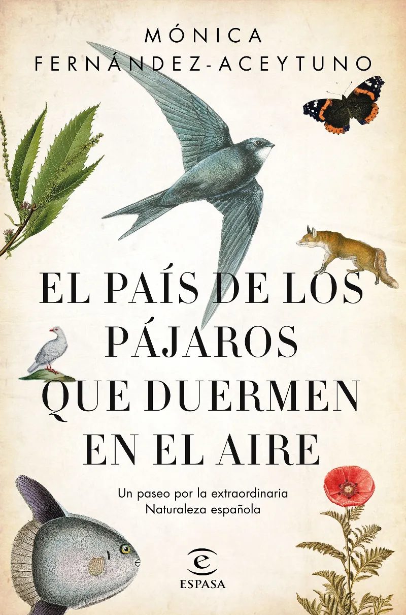 PAIS DE LOS PAJAROS QUE DUERMEN EN EL AIRE,EL