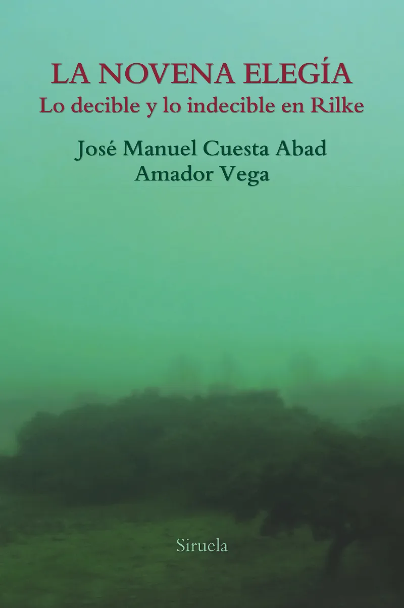 NOVENA ELEGIA, LA
