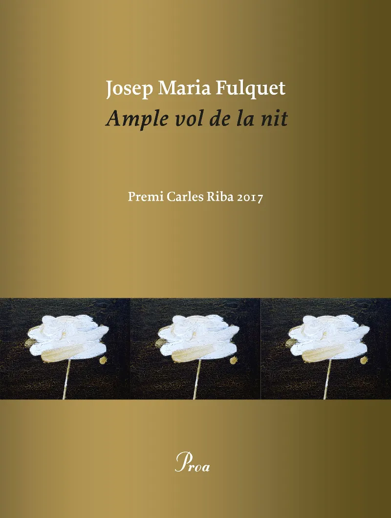 AMPLE VOL DE LA NIT -PREMI CARLES RIBA 2017-