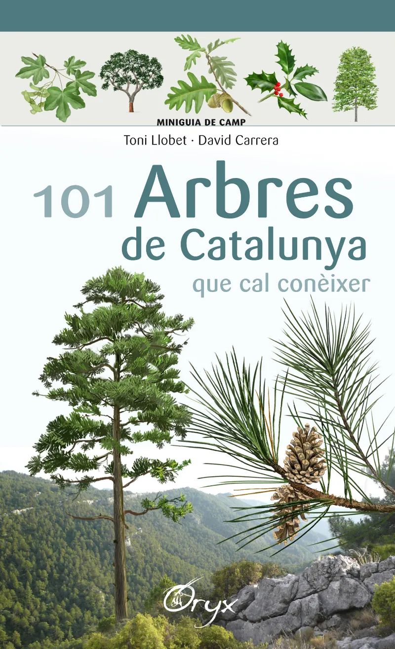 101 ARBRES DE CATALUNYA QUE CAL CONEIXER