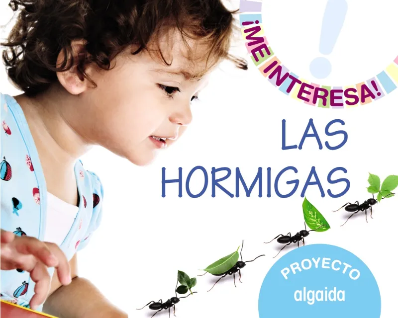 PROYECTO "LAS HORMIGAS"