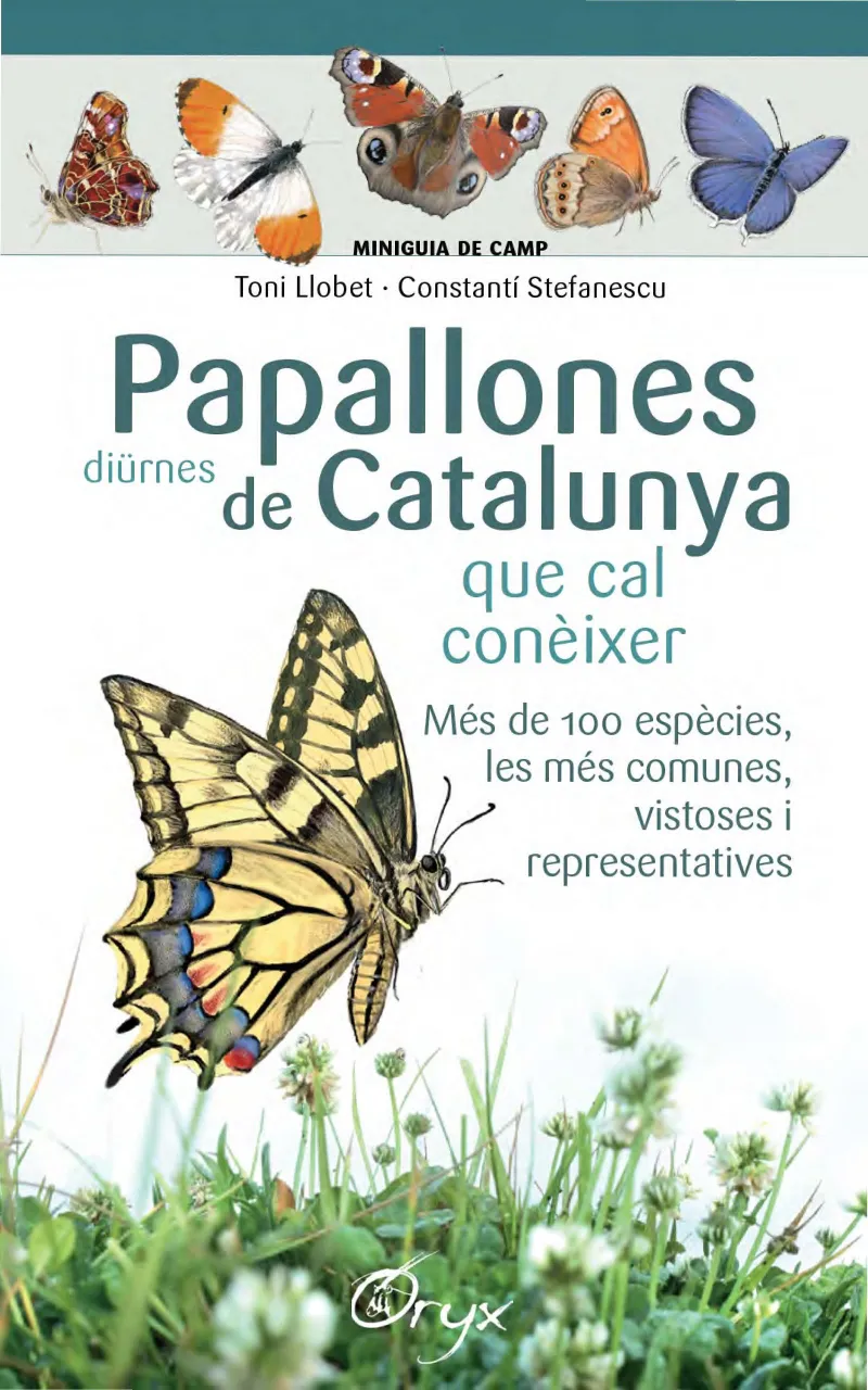 PAPALLONES DIURNES DE CATALUNYA QUE CAL CONEIXER