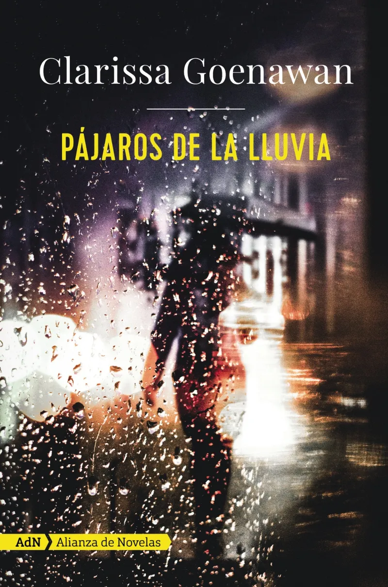 PAJAROS DE LA LLUVIA