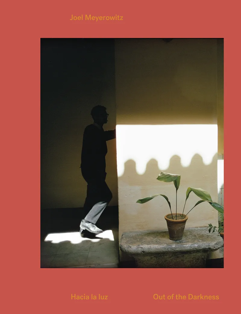 HACIA LA LUZ / OUT OF THE DARKNESS