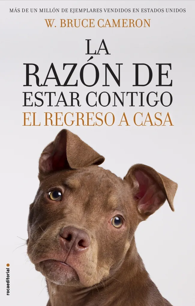 RAZON DE ESTAR CONTIGO, LA -EL REGRESO A CASA-