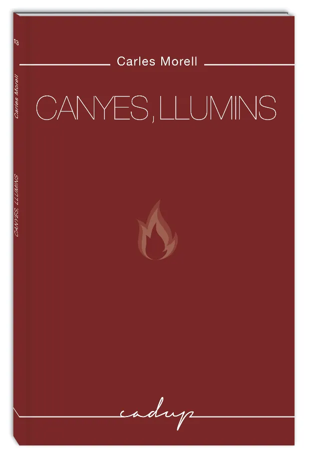 CANYES LLUMINS