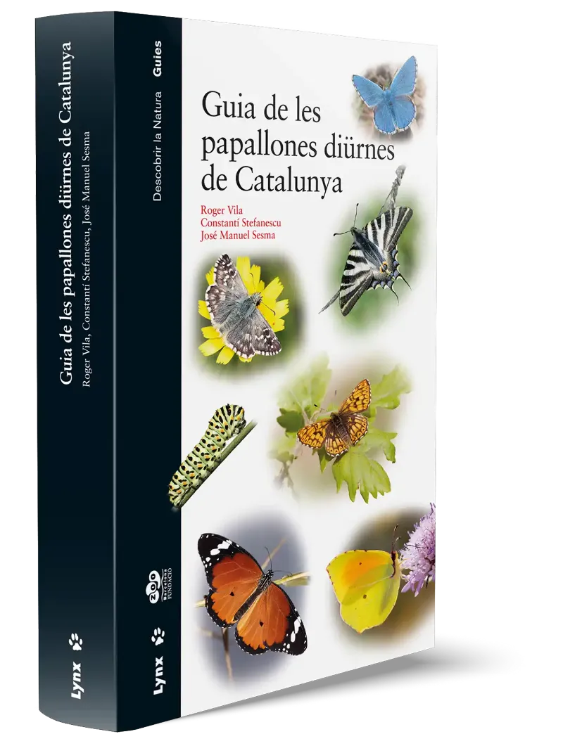 GUIA DE LES PAPALLONES DIURNES DE CATALUNYA