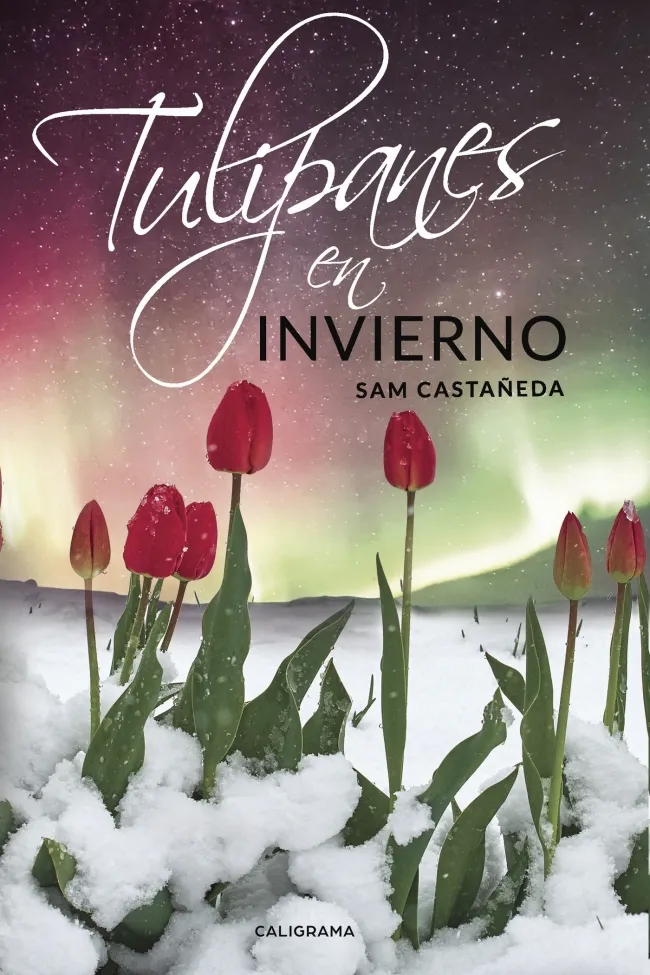 Tulipanes en invierno