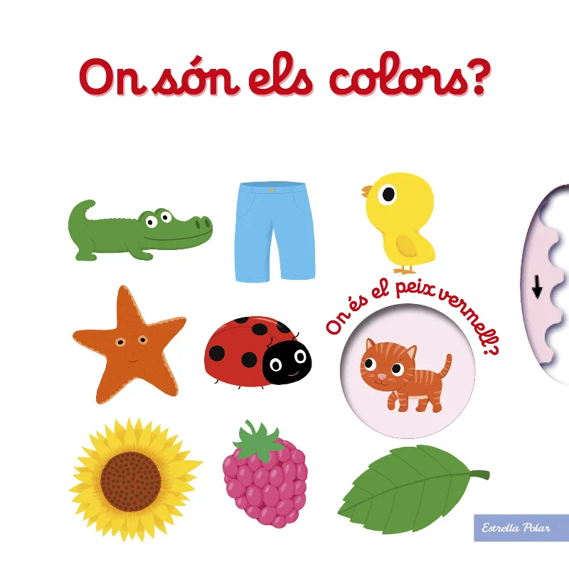 ON SON ELS COLORS -AMB RODETA-