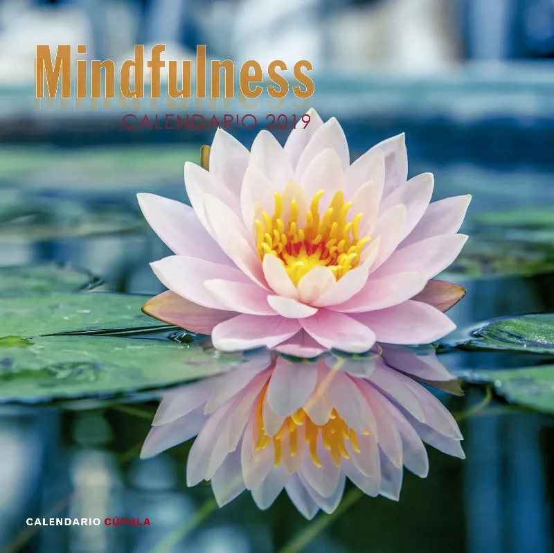 MINDFULNESS