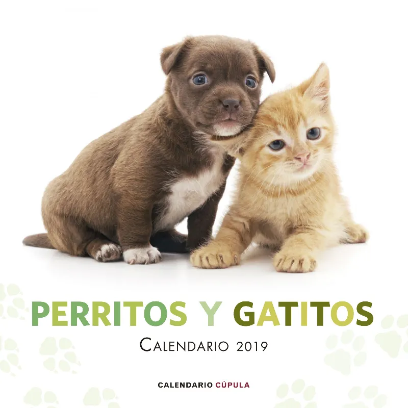 PERRITOS Y GATITOS