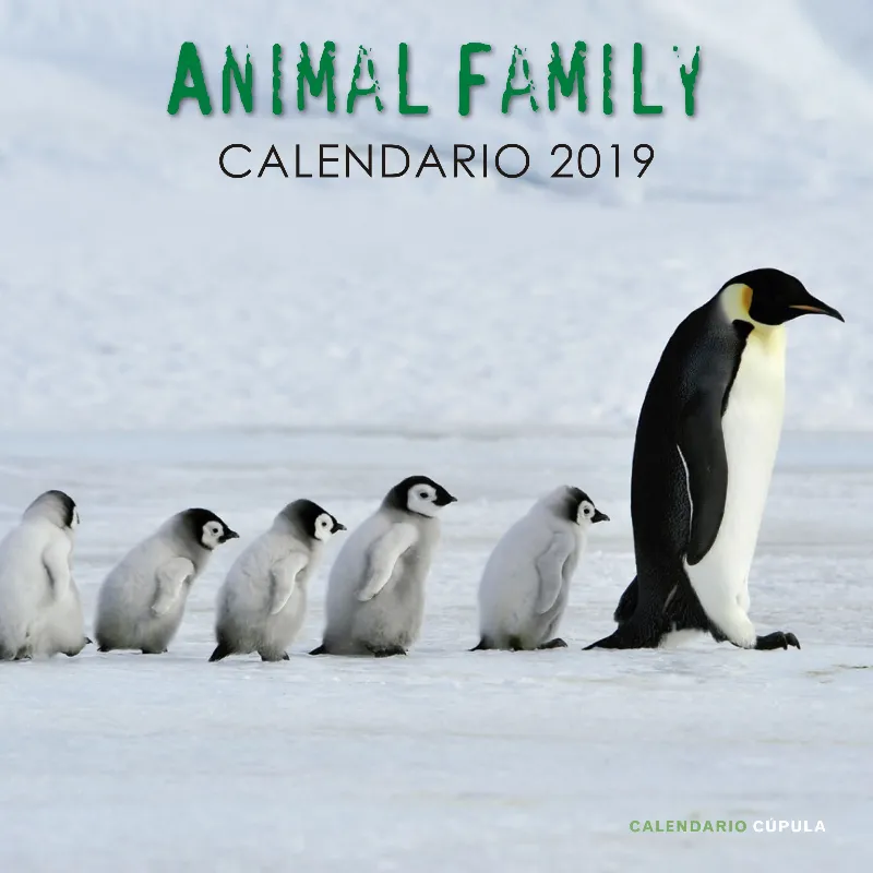 ANIMAL FAMILY