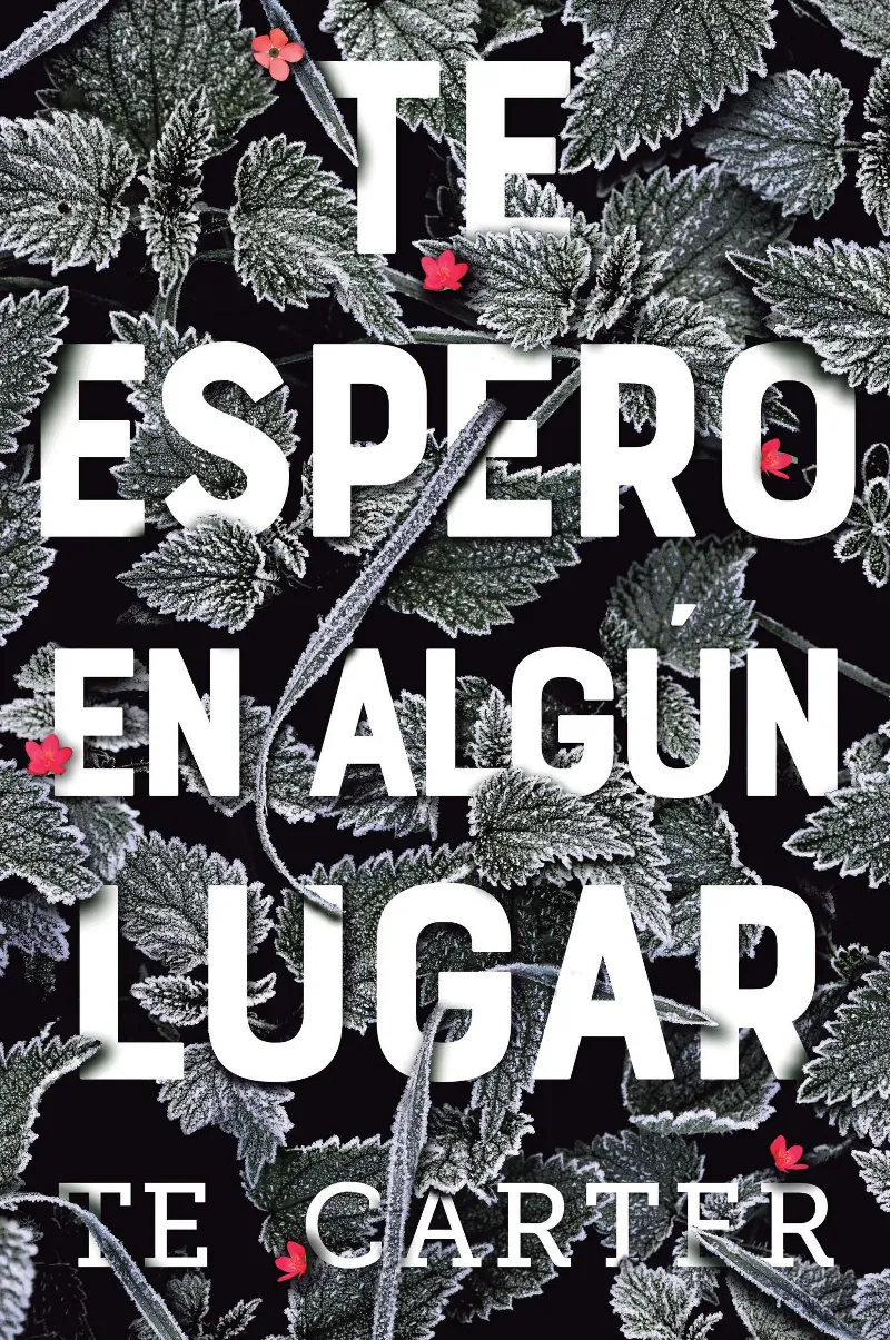 TE ESPERO EN ALGUN LUGAR