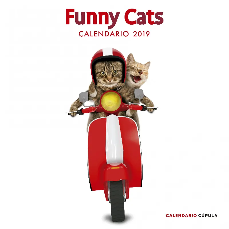 FUNNY CATS