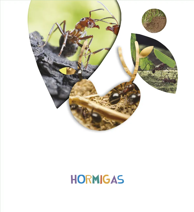 HORMIGAS 5 AÑOS ALUMNOS 2018