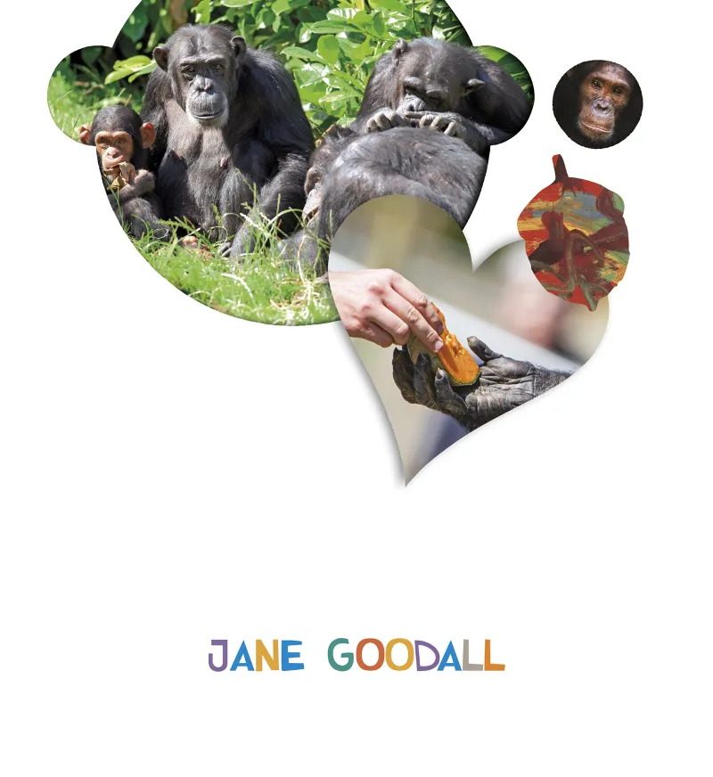 JANE GOODALL ALUMNO 2018