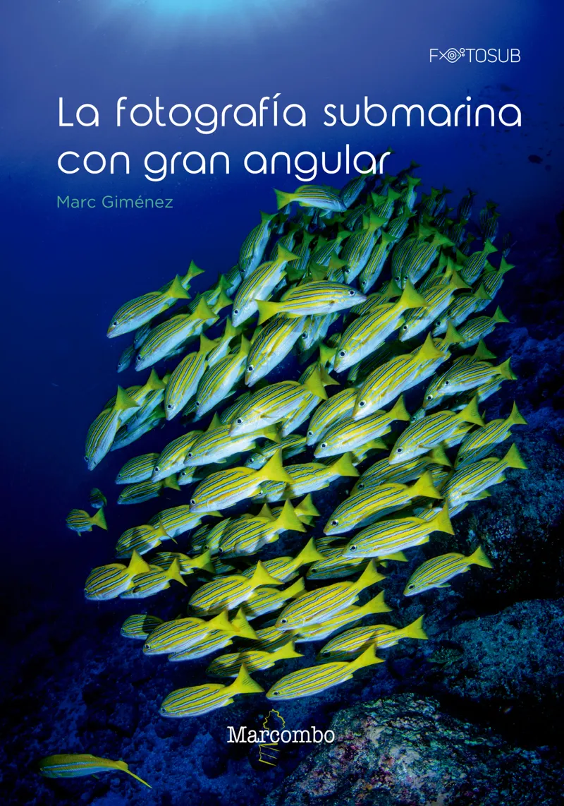 FOTOGRAFIA SUBMARINA CON GRAN ANGULAR,LA