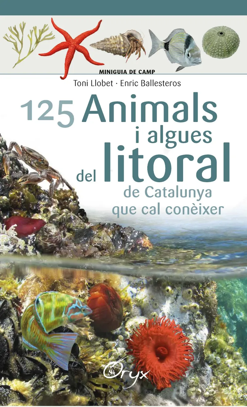 125 ANIMALS I ALGUES DEL LITORAL DE CATALUNYA QUE CAL CONEIXER