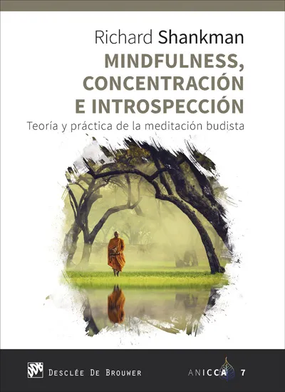 MINDFULNESS CONCENTRACION E INTROSPECCION