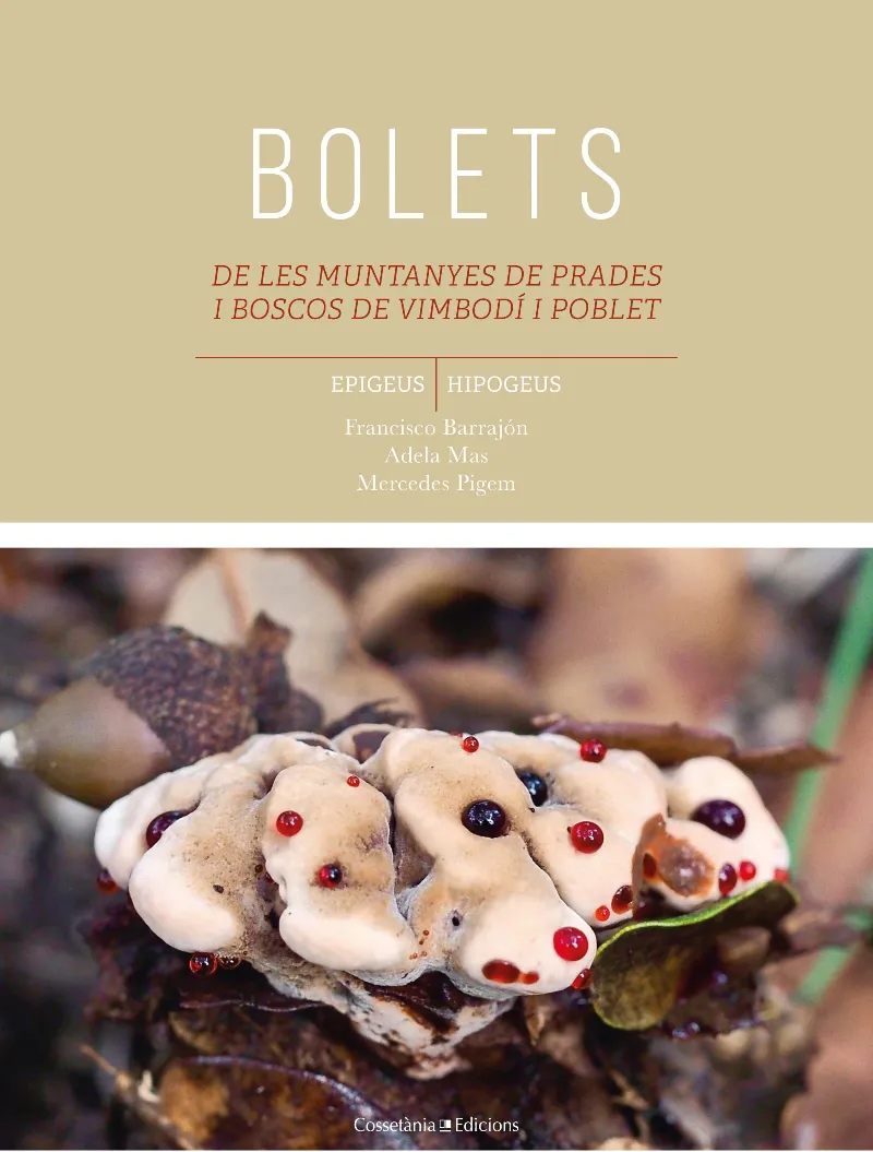 BOLETS DE LES MUNTANYES DE PRADES I BOSCOS DE VIMBODÍ I POBLET