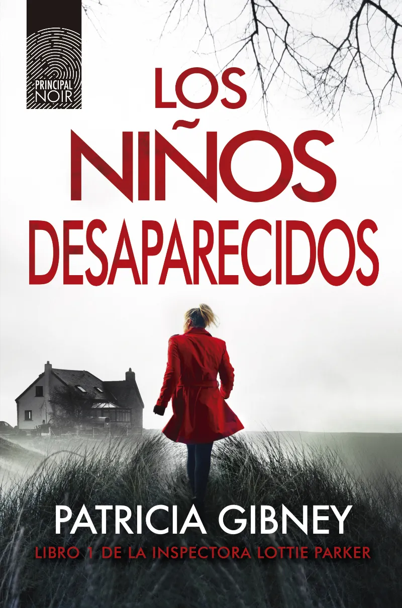 NIÑOS DESPARECIDOS, LOS