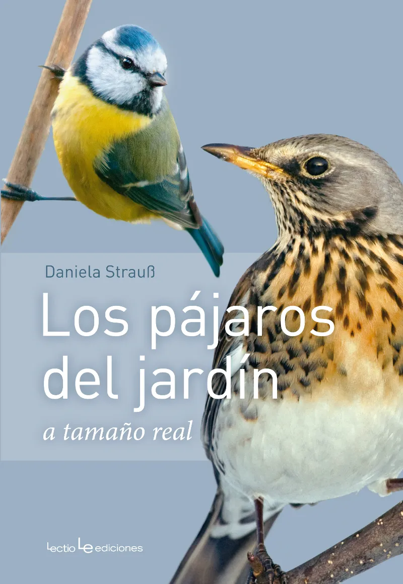 PAJAROS DEL JARDIN A TAMAÑO REAL, LOS