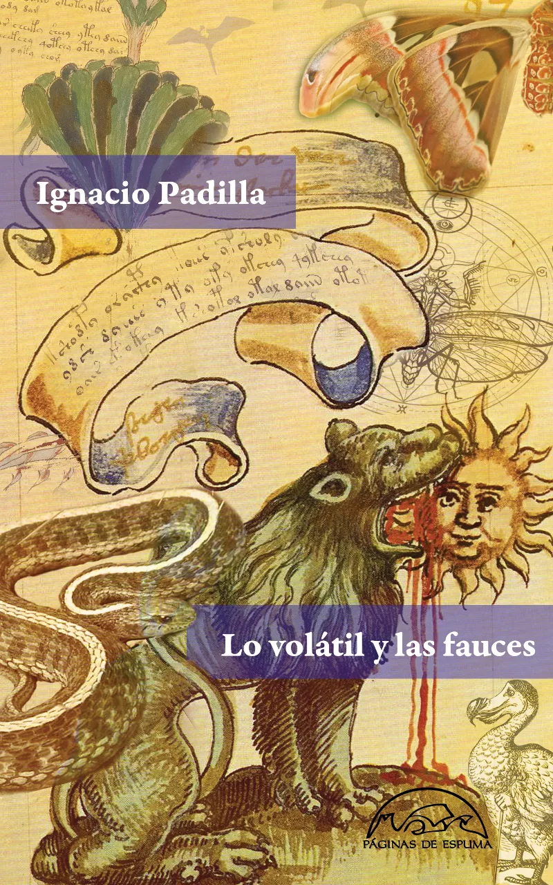 VOLATIL Y LAS FAUCES, LO