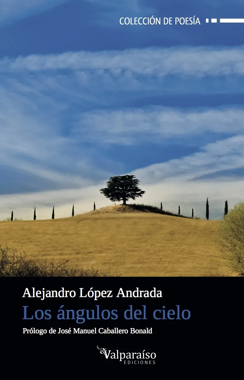 ANGULOS DEL CIELO, LOS