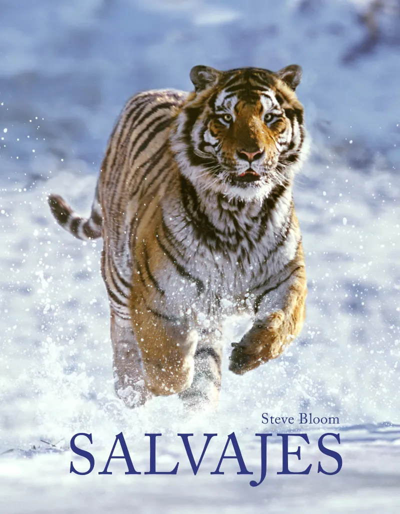 SALVAJES FOTO