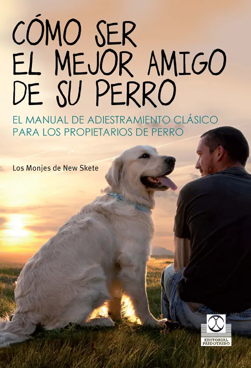 COMO SER EL MEJOR AMIGO DE SU PERRO