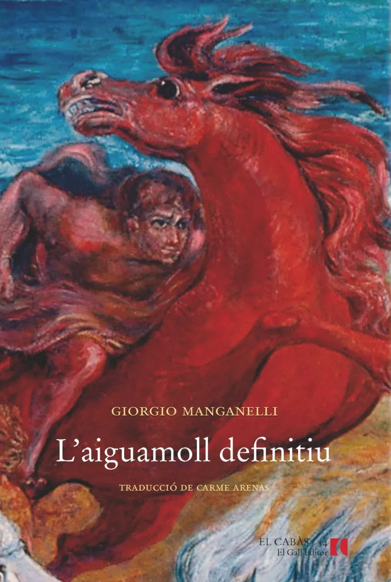AIGUAMOLL DEFINITIU,L'