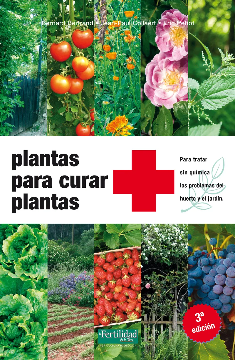 PLANTAS PARA CURAR