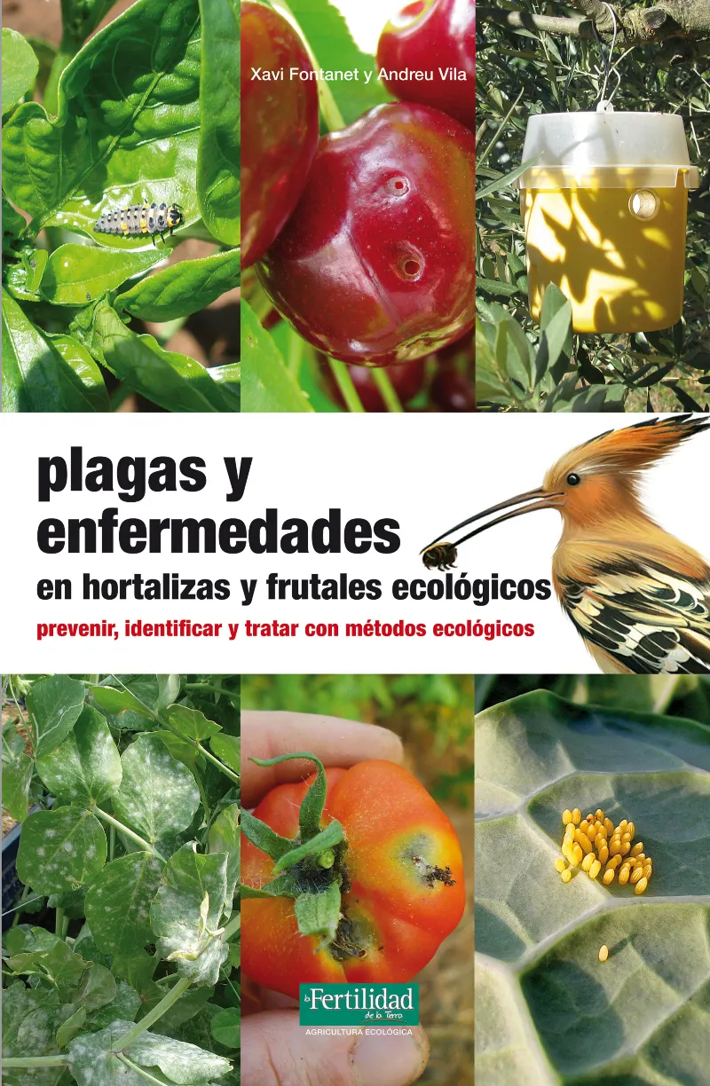 PLAGAS Y ENFERMEDADES EN HORTALIZAS Y FRUTALES