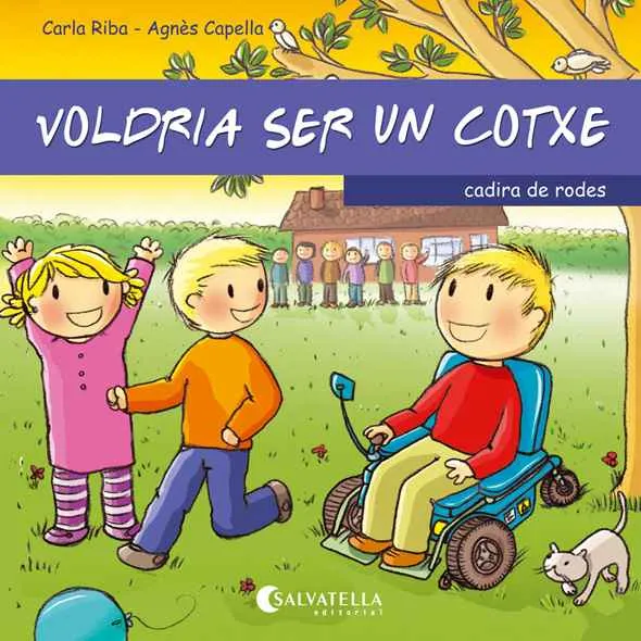 VOLDRIA SER UN COTXE CADIRA DE RODES