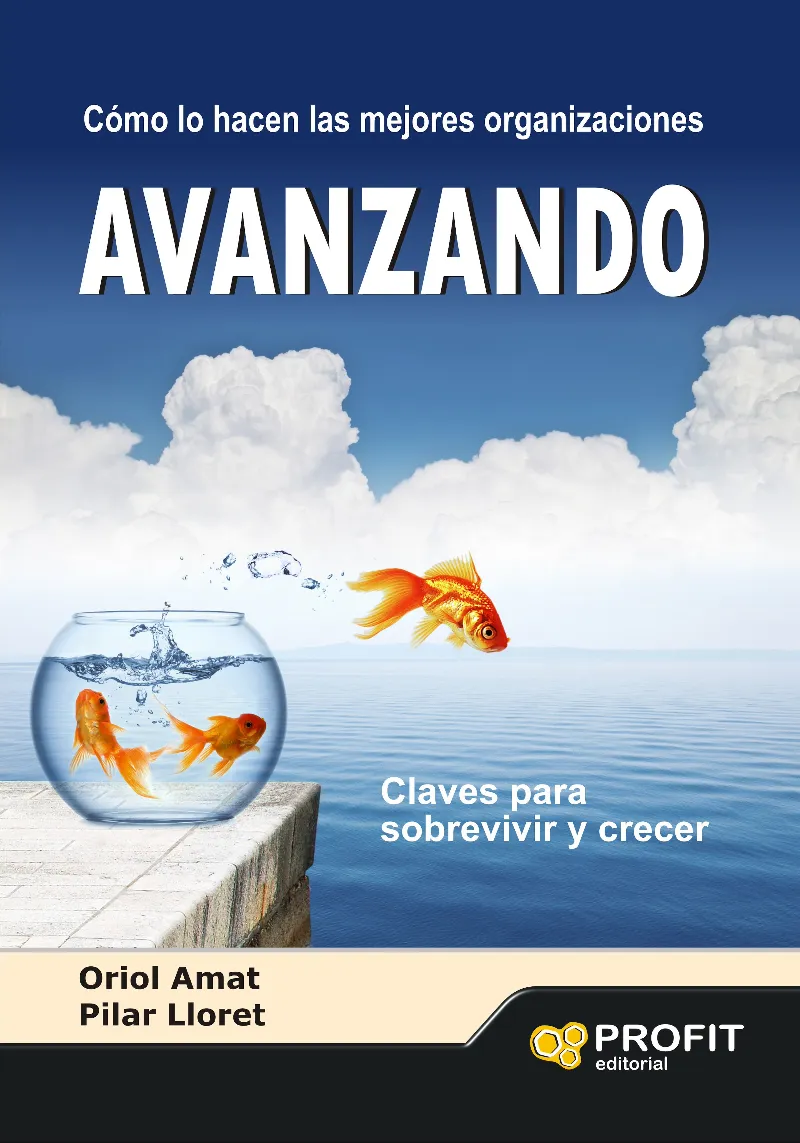 AVANZANDO COMO HACEN LAS MEJORES ORGANIZACIONES