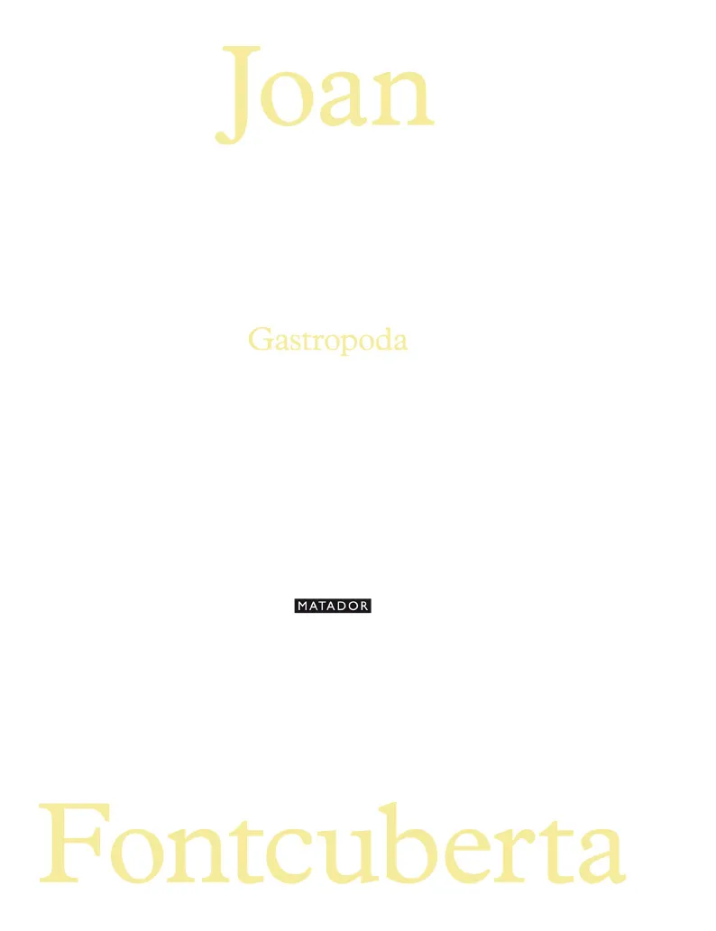 JOAN FONTCUBERTA GASTROPODA