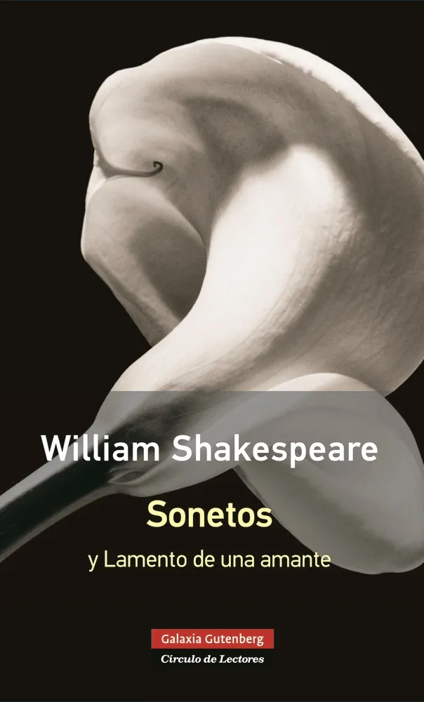 SONETOS Y LAMENTOS DE UNA AMANTE