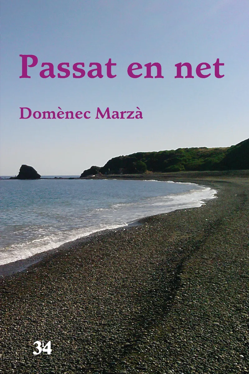 PASSAT EN NET