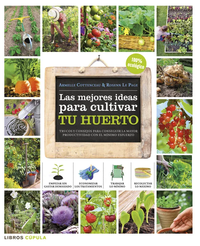 MEJORES IDEAS PARA CULTIVAR TU HUERTO,LAS