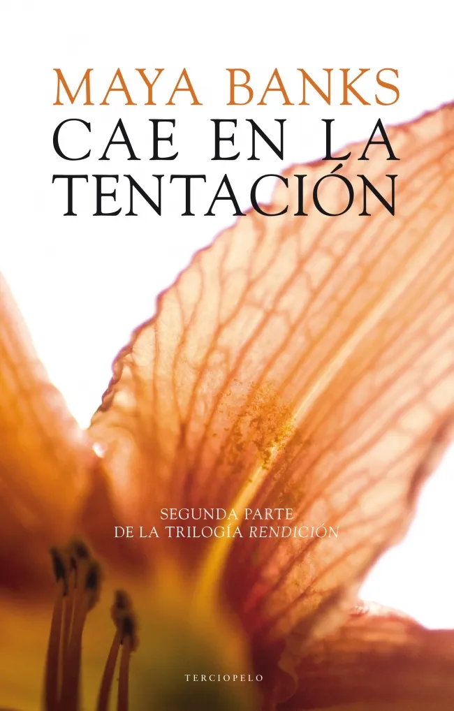 CAE EN LA TENTACION -RENDICION 2-