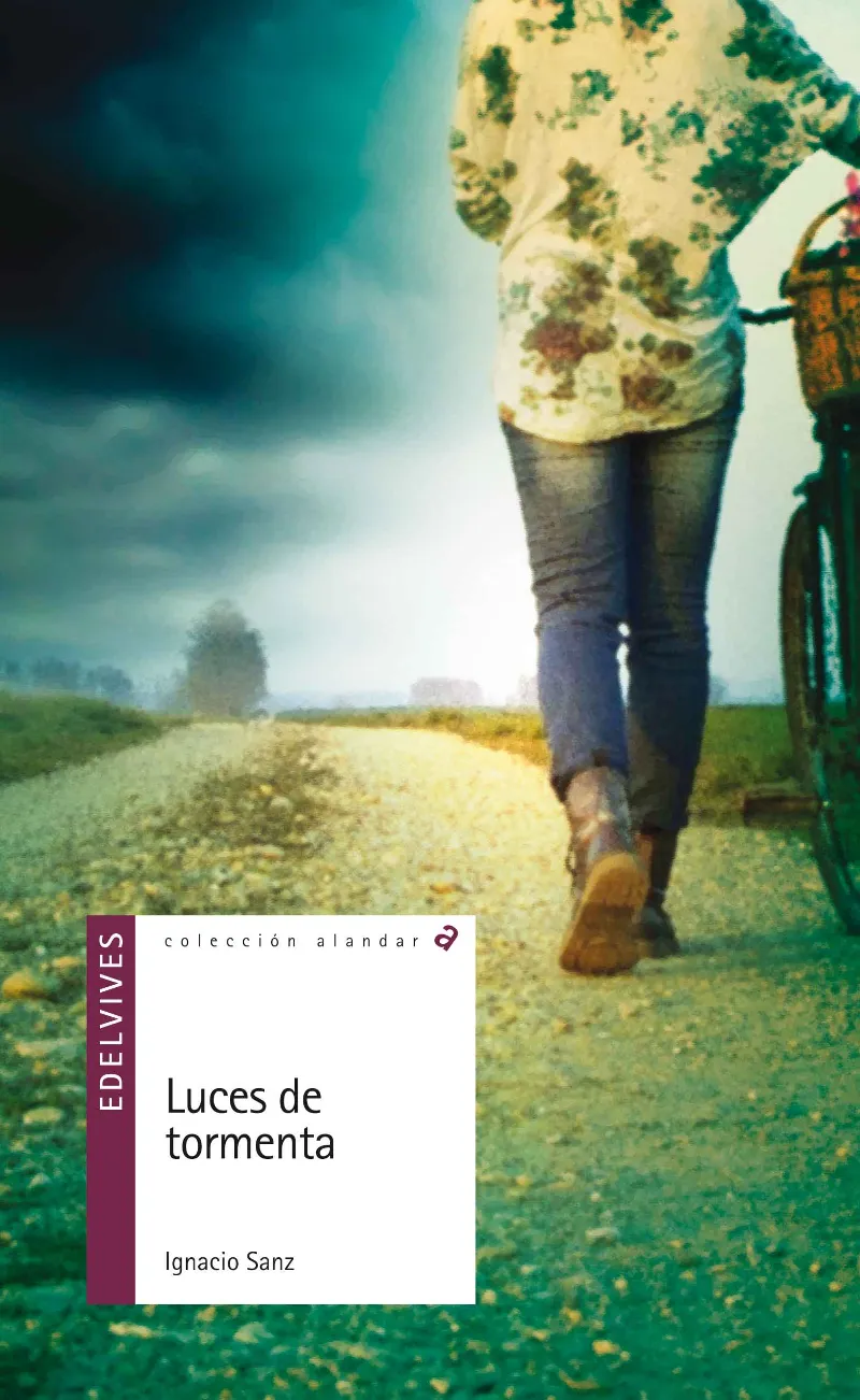 LUCES DE TORMENTA (SOLIDARIDAD/AFÁN DE SUPERACIÓN/TESÓN/AMISTAD/VALENTÍA)-146