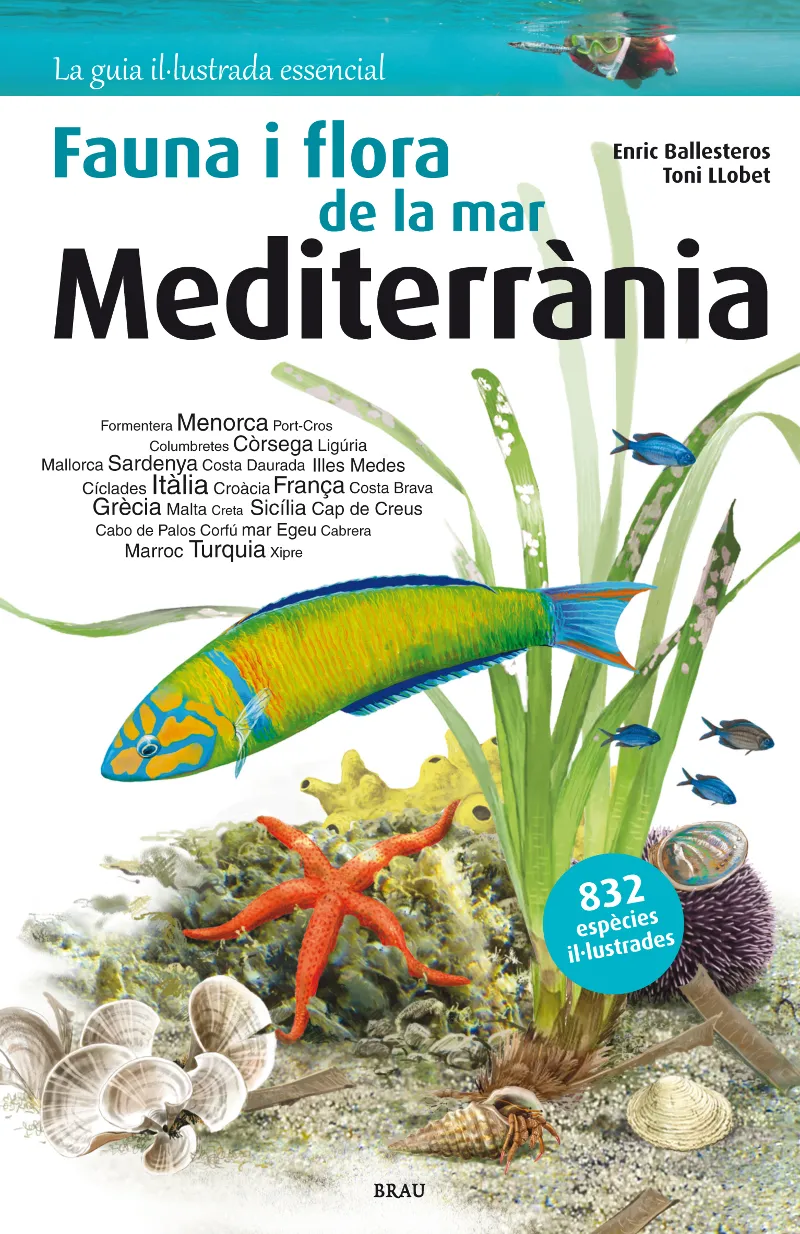 FAUNA I FLORA DE LA MAR MEDITERRANIA