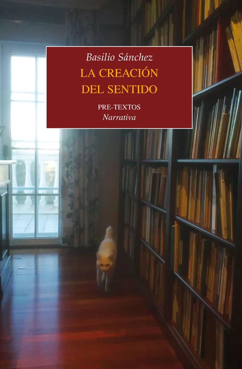CREACION DEL SENTIDO